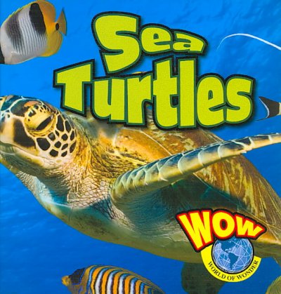 Sea turtles / Judy Wearing.