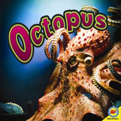 Octopus / Judy Wearing.