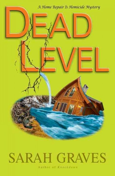 Dead level : a home repair is homicide mystery.