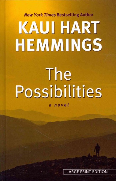 The possibilities : a novel / Kaui Hart Hemmings.