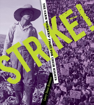 Strike! : the farm workers' fight for their rights / Larry Dane Brimner.