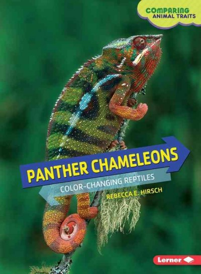 Panther chameleons : color-changing reptiles / Rebecca E. Hirsch.