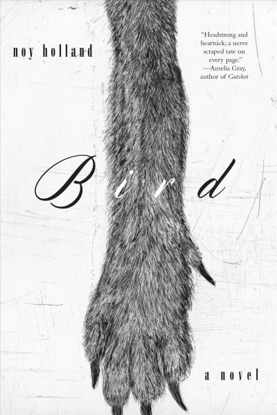 Bird : a novel / Noy Holland. 