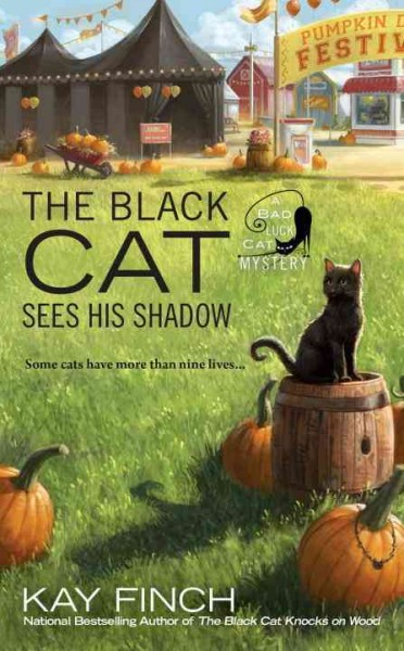The black cat sees his shadow / Kay Finch.
