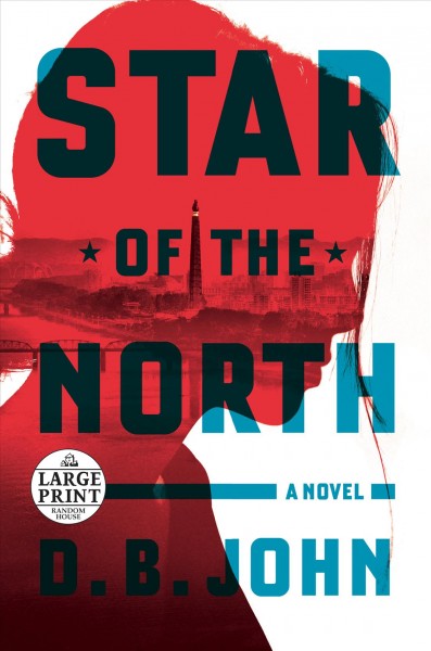 Star of the North : a novel / D.B. John.