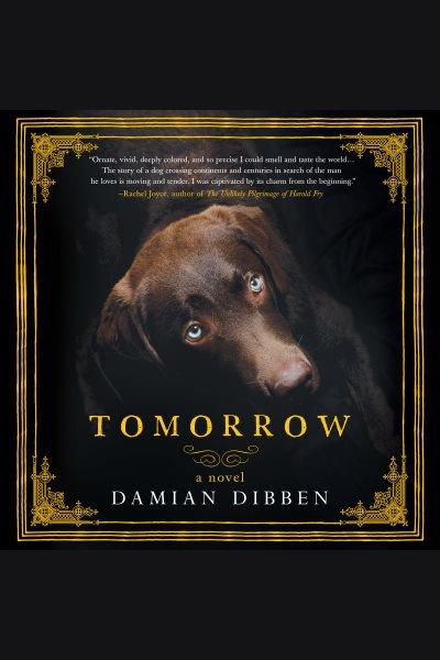 Tomorrow / Damian Dibben.