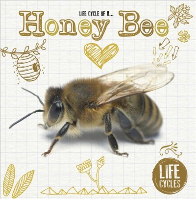 Life cycle of a... : honey bee / written by Grace Jones.