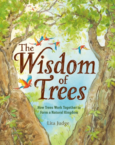 The wisdom of trees : how trees work together to form a natural kingdom / Lita Judge.