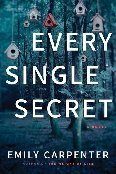 Every single secret : a novel / Emily Carpenter.