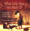 What little boys are made of  Cover Image