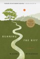 Go to record Running the rift : a novel