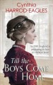 Till the boys come home  Cover Image