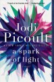 A spark of light  Cover Image