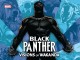 Black Panther : visions of Wakanda Cover Image
