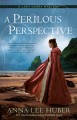 A perilous perspective  Cover Image