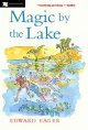 Magic by the lake. Cover Image